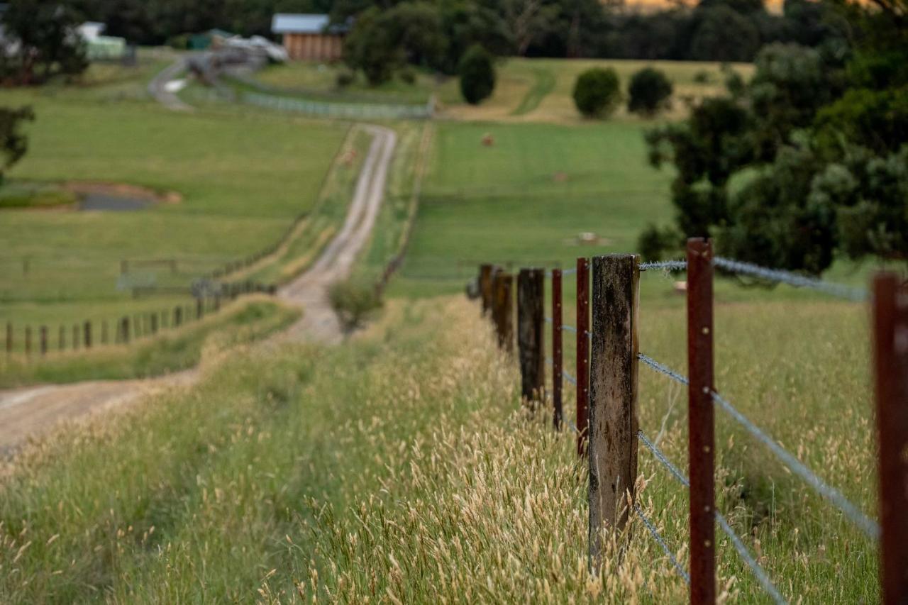 Langbrook Cottages Yarra Junction Екстериор снимка